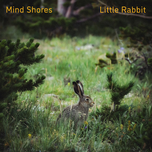 我想操中国小美女
