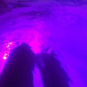 我想操中国小美女
