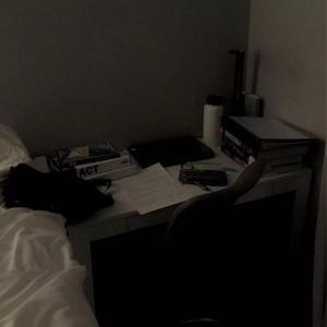 我想操中国小美女
